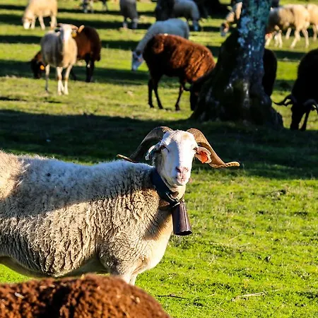 Pantanha Nature & Fitness 3*