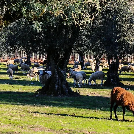 Pantanha Nature & Fitness Hotell