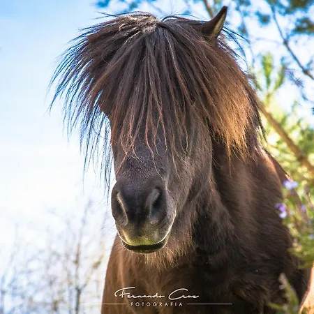 Pantanha Nature & Fitness 3* Caldas da Felgueira