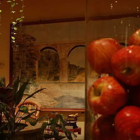 Pantanha Nature & Fitness Hotell