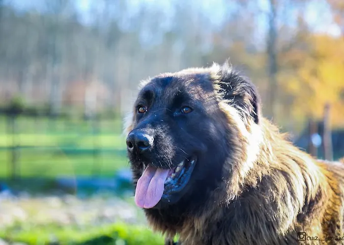 Pantanha Nature & Fitness