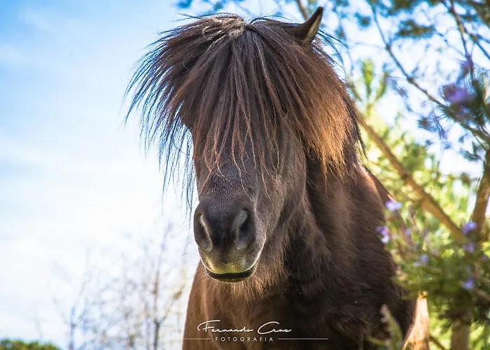 Pantanha Nature & Fitness 3* Caldas da Felgueira